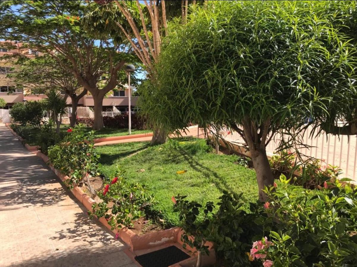 Oasis Del Duque Apartment Costa Adeje  Eksteriør billede